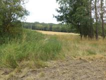 Prodej zahrady, Heřmanova Huť - Vlkýš, 1100 m2