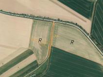 Prodej pozemku, Nová Ves u Mladé Vožice, 5421 m2