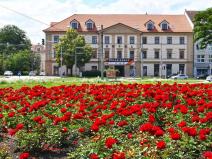 Pronájem obchodního prostoru, České Budějovice - České Budějovice 3, Pražská tř., 277 m2