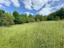 Prodej pozemku, Nedašova Lhota, 2790 m2