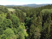 Prodej pozemku, Hartmanice, 9140 m2