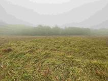 Prodej pole, Verneřice, 22839 m2