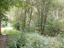 Prodej pozemku, Aš, 1755 m2