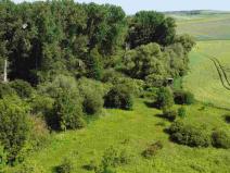 Prodej pole, Bučovice, 3134 m2