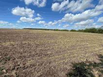 Prodej pozemku, Nový Bydžov - Zábědov, 1857 m2