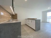 Pronájem bytu 1+kk, Brno, Reissigova, 32 m2