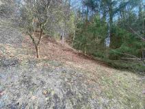 Prodej pozemku, Rokytnice v Orlických horách, 858 m2