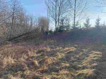 Prodej zahrady, Horní Stropnice, 2062 m2