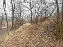 Prodej pozemku, Třebenice - Medvědice, 4154 m2