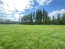 Prodej pozemku, Břidličná - Vajglov, 7130 m2