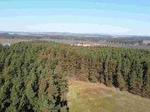 Prodej pozemku, Tisová - Kumpolec, 4563 m2