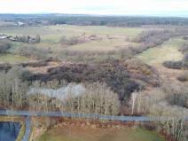 Prodej pozemku, Nové Hrady - Štiptoň, 35772 m2