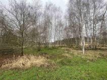 Prodej pozemku, Hosín - Dobřejovice, 10244 m2