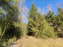 Prodej pozemku, Železná Ruda - Špičák, 1644 m2