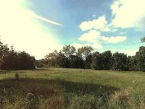 Prodej pole, Čejetice, 7221 m2