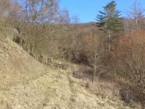 Prodej zahrady, Trmice, 3440 m2