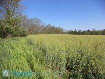 Prodej komerčního pozemku, Úvaly, 267 m2