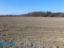 Prodej pole, Stříbřec, 10919 m2