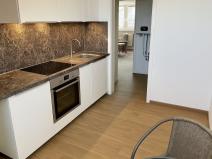 Pronájem bytu 1+1, Opava - Předměstí, Hobzíkova, 40 m2