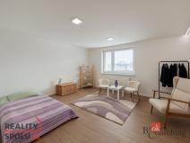 Pronájem bytu 1+1, Opava - Předměstí, Hobzíkova, 40 m2