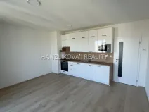 Pronájem bytu 1+kk, České Budějovice, Dobrovodská, 32 m2