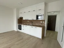Pronájem bytu 1+kk, České Budějovice, Dobrovodská, 32 m2