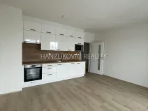 Pronájem bytu 1+kk, České Budějovice, Dobrovodská, 32 m2