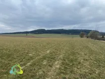 Prodej komerčního pozemku, Těně, 57493 m2