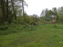 Dražba louky, Vlčice, 1387 m2