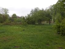 Dražba louky, Vlčice, 1387 m2