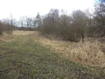 Dražba louky, Novosedly nad Nežárkou, 6591 m2