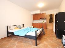 Pronájem bytu 1+kk, Brno - Staré Brno, Pekařská, 18 m2