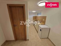 Pronájem bytu 1+1, Jalubí, 40 m2