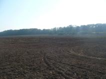 Prodej komerčního pozemku, Veltrusy, 55948 m2