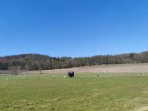 Prodej pozemku pro bydlení, Horažďovice, 2250 m2