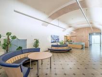 Pronájem kanceláře, Praha - Nové Město, Václavské náměstí, 1100 m2