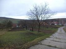 Dražba pole, Morkůvky, 6867 m2