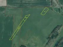 Dražba louky, Srby, 19946 m2