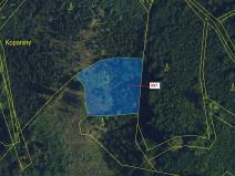 Dražba lesa, Lhota Rapotina, 1938 m2