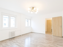 Pronájem bytu 1+1, Ostrov, Odborů, 33 m2