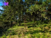 Prodej pozemku pro bydlení, Olomouc - Svatý Kopeček, 1243 m2