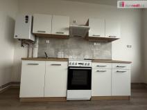 Pronájem bytu 2+kk, Mlékojedy, 55 m2