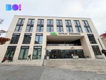 Pronájem komerční nemovitosti, Praha, Veletržní, 374 m2