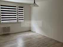 Pronájem bytu 1+1, Chomutov, Holešická, 42 m2