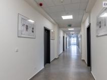 Pronájem kanceláře, Příbram - Příbram VI-Březové Hory, K Podlesí, 30 m2