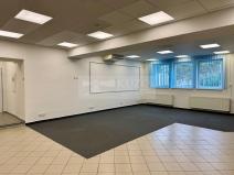 Pronájem obchodního prostoru, Mladá Boleslav - Mladá Boleslav II, Máchova, 291 m2