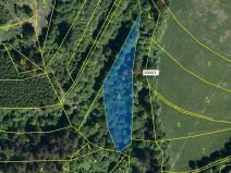 Dražba lesa, Hovězí, 2626 m2