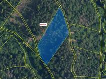 Dražba lesa, Jílové u Držkova, 6213 m2