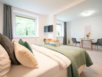 Prodej bytu 1+kk, Jeseník, Na Mýtince, 36 m2