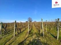 Prodej komerčního pozemku, Bzenec, 1748 m2